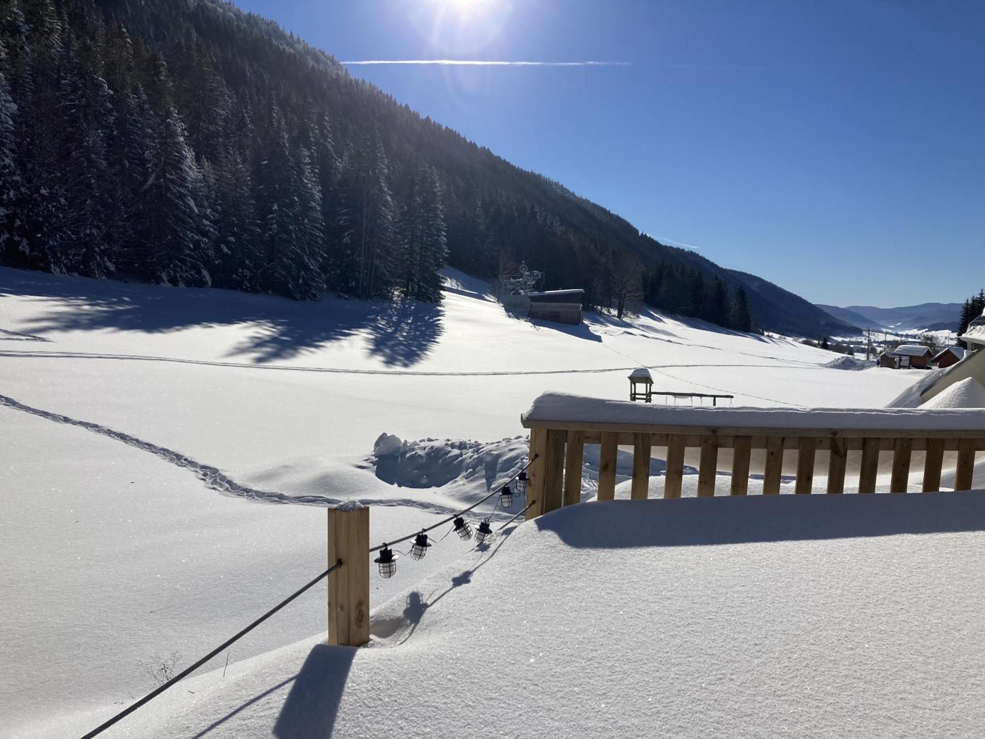 Gite La Resilience, Sur La Piste De Ski D'Autrans Villa Rum bild